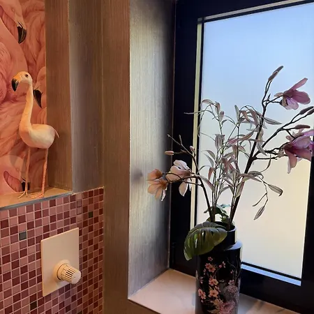 Solymar - 